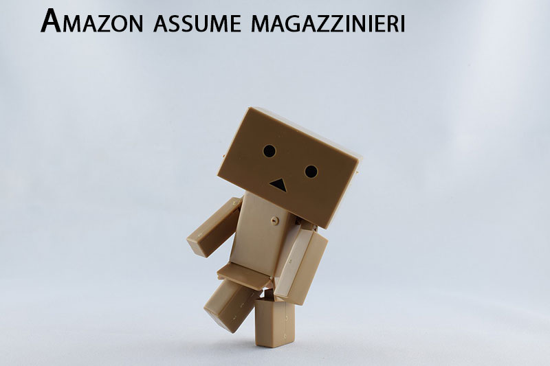 assunzioni-Amazon-Rovigo