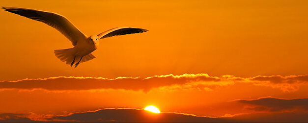 Recensione libro Ciò che inferno non è