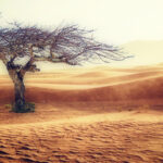 Recensione libro 21 lezioni per il XXI secolo