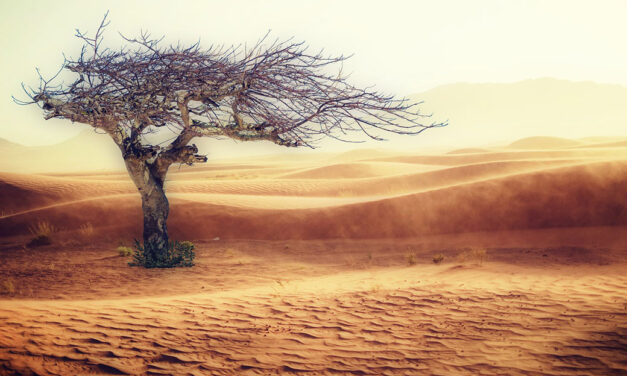 Recensione libro 21 lezioni per il XXI secolo