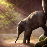 Recensione libro Il viaggio dell’elefante