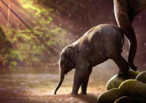 Il-viaggio-dell-elefante