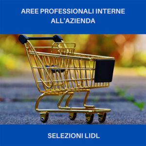 video-colloquio-Lidl