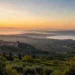 Salute mentale nei Castelli Romani: il quadro 2026